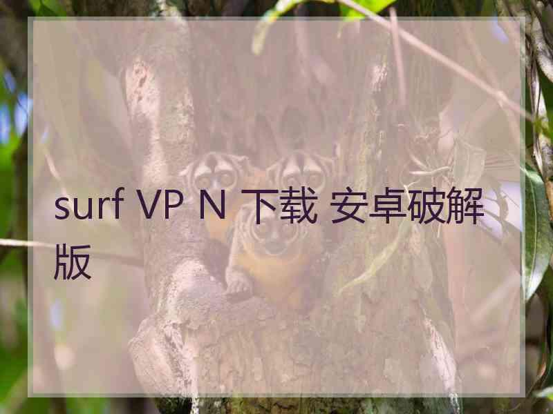 surf VP N 下载 安卓破解版