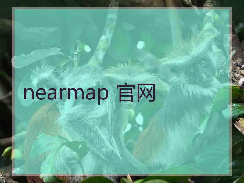 nearmap 官网