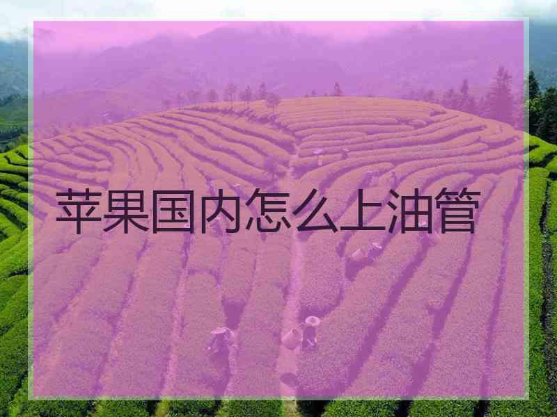 苹果国内怎么上油管