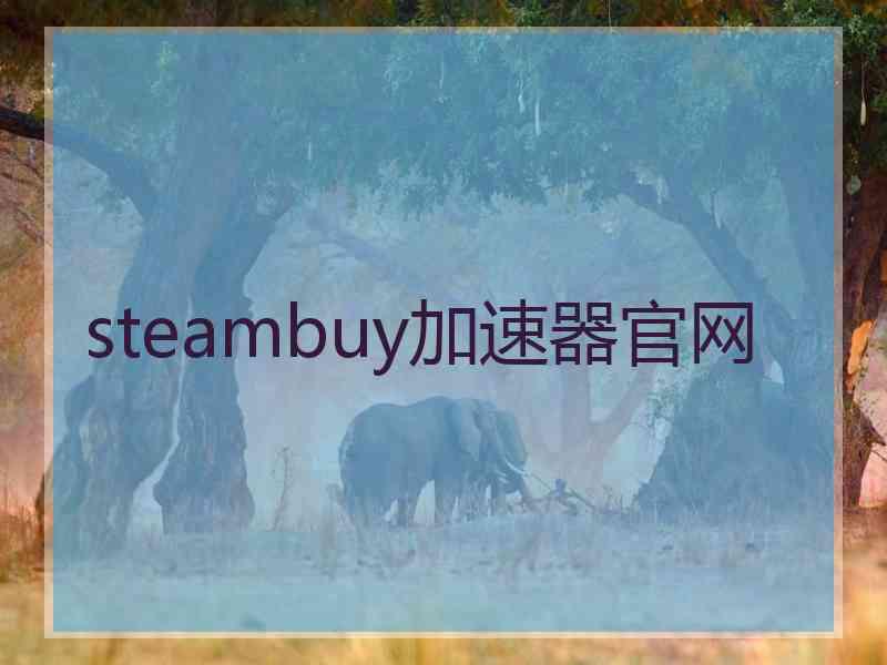 steambuy加速器官网