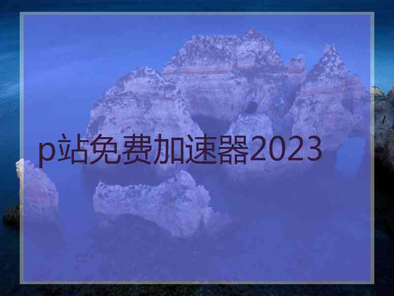 p站免费加速器2023