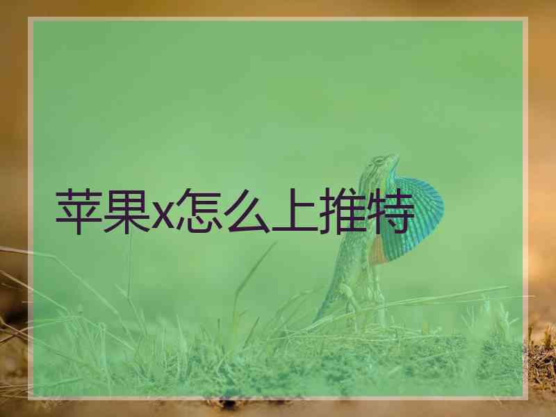 苹果x怎么上推特