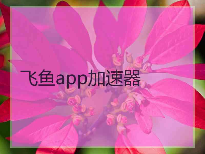 飞鱼app加速器