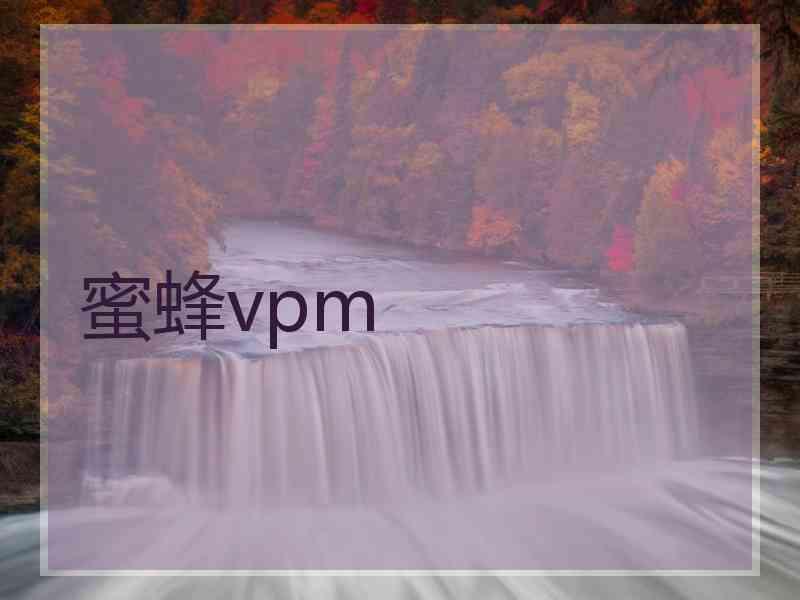 蜜蜂vpm