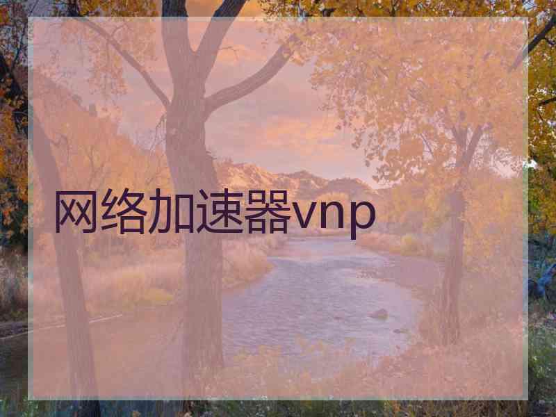 网络加速器vnp