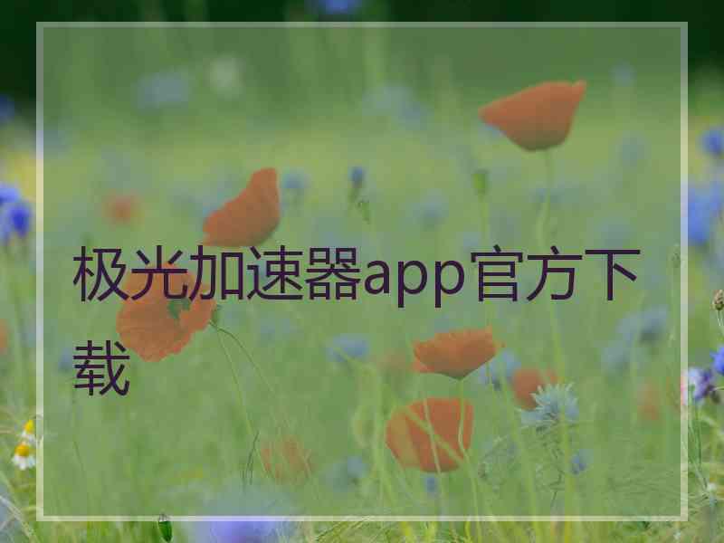 极光加速器app官方下载