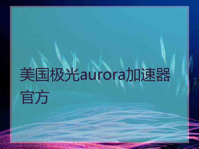 美国极光aurora加速器官方