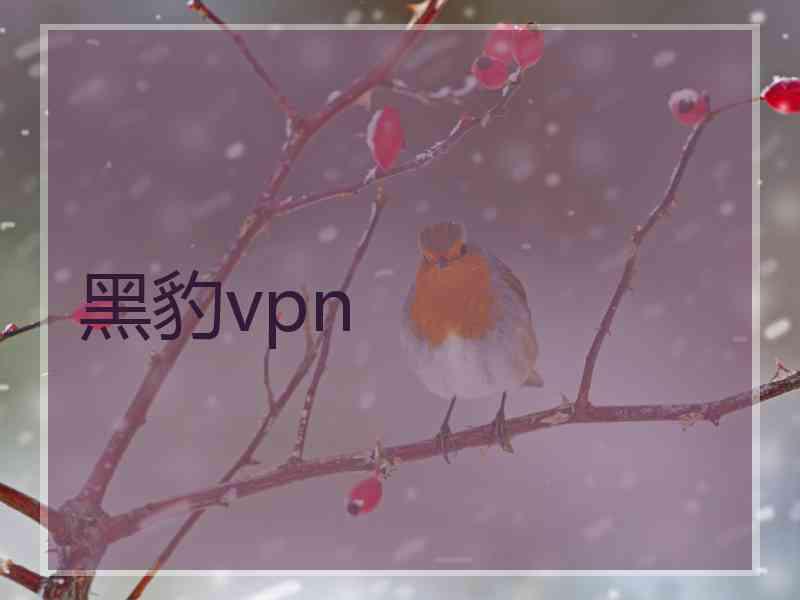 黑豹vpn