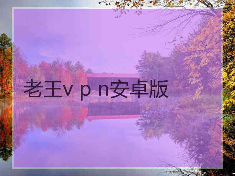 老王v p n安卓版