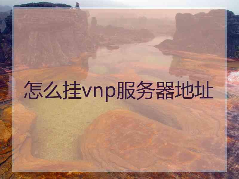 怎么挂vnp服务器地址