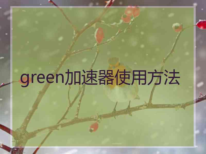 green加速器使用方法