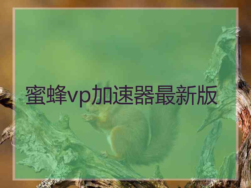 蜜蜂vp加速器最新版