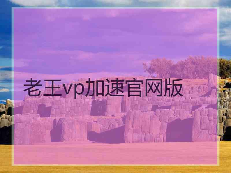 老王vp加速官网版