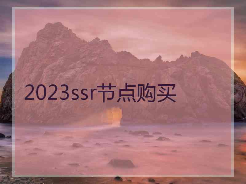 2023ssr节点购买