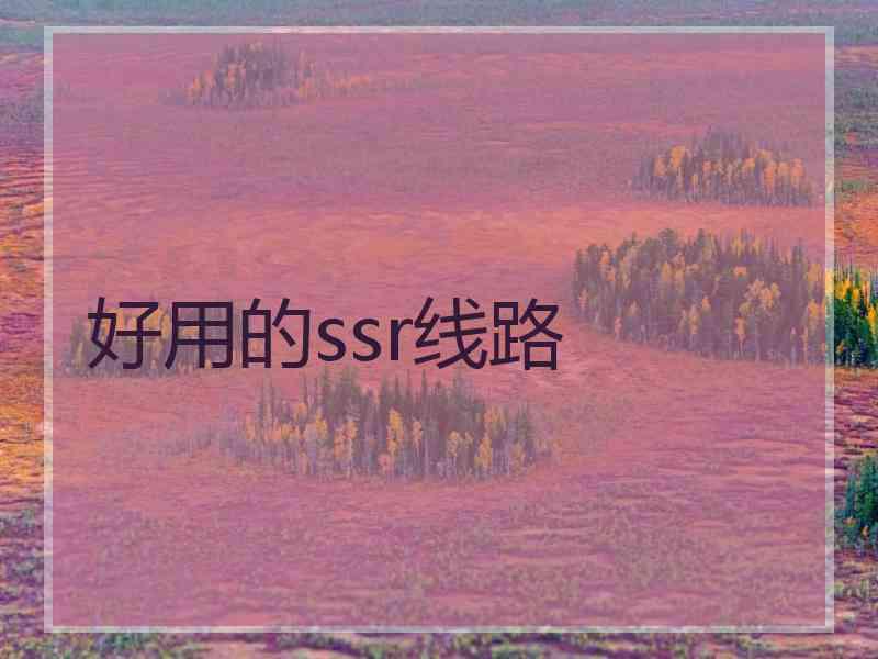 好用的ssr线路