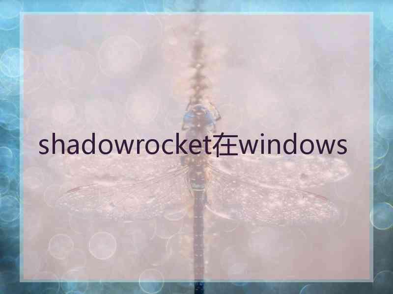 shadowrocket在windows