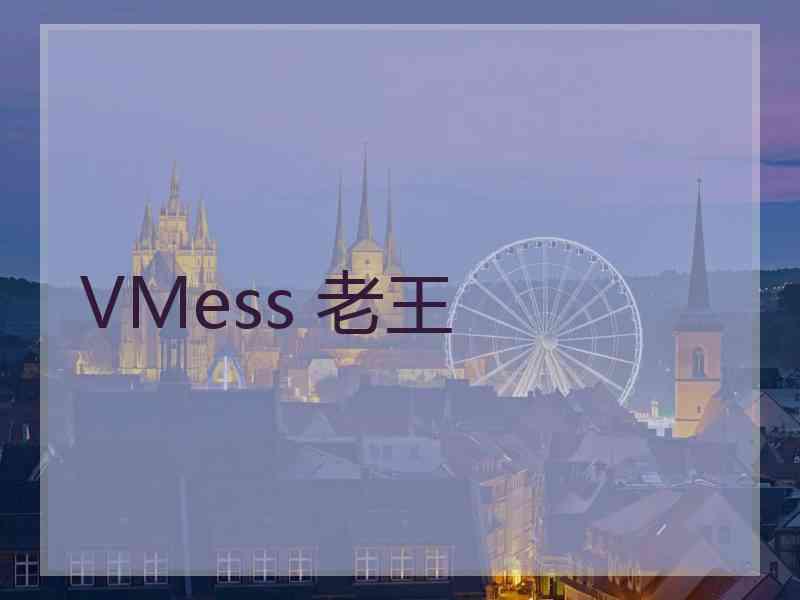 VMess 老王