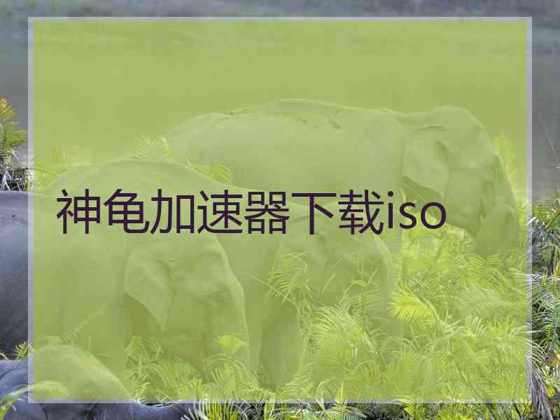 神龟加速器下载iso