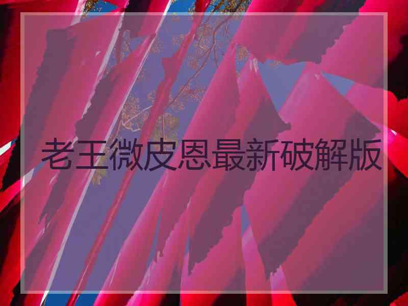 老王微皮恩最新破解版
