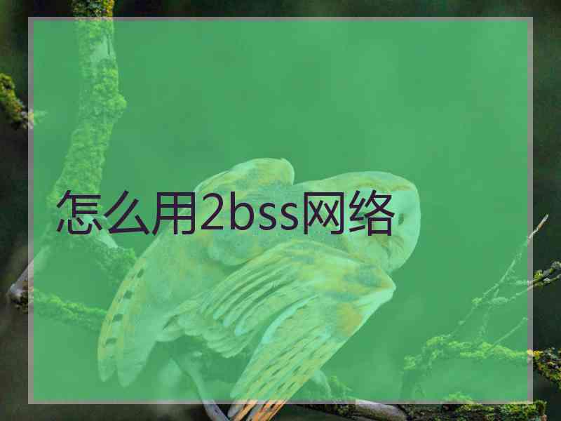 怎么用2bss网络