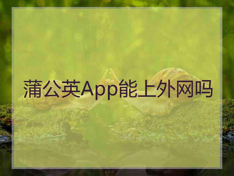 蒲公英App能上外网吗