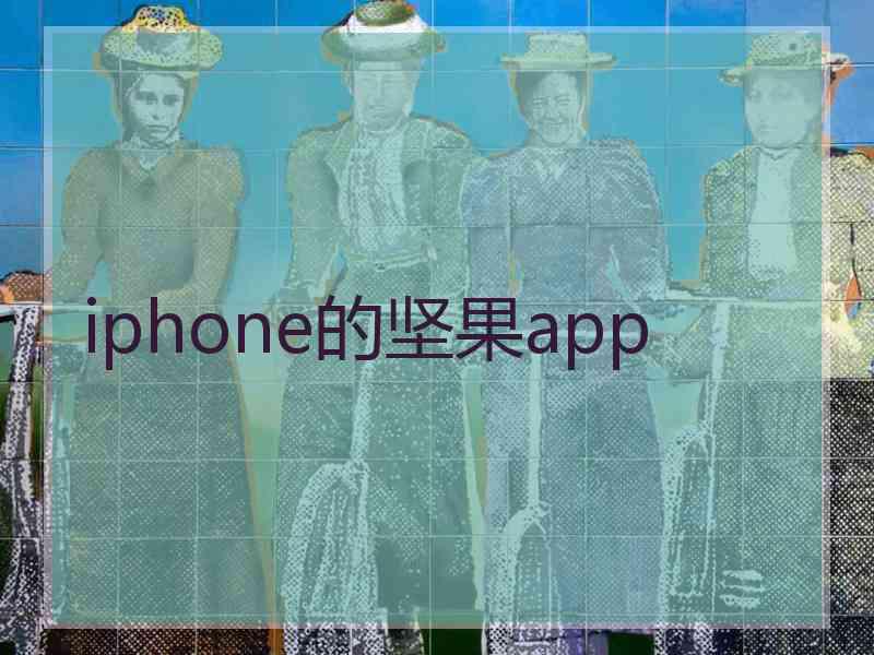 iphone的坚果app