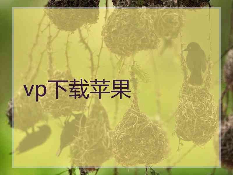 vp下载苹果