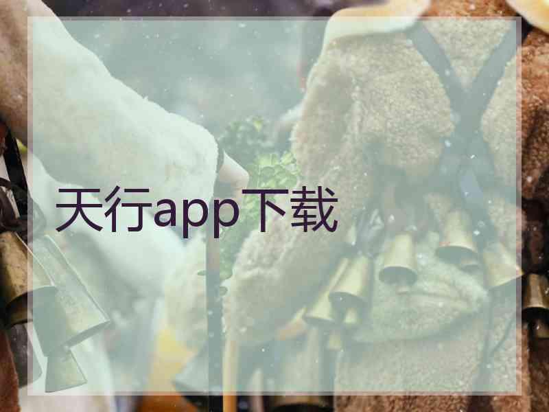 天行app下载