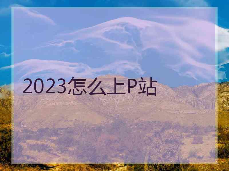 2023怎么上P站