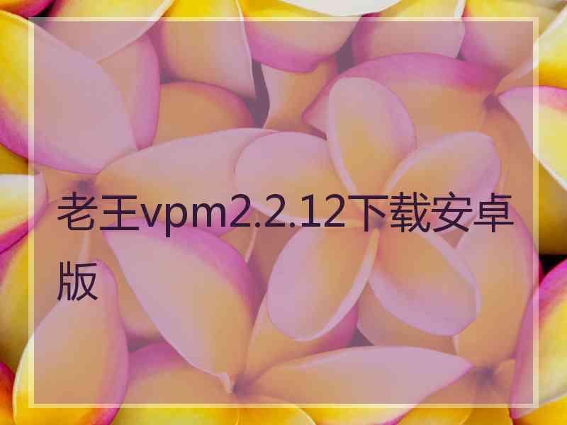 老王vpm2.2.12下载安卓版