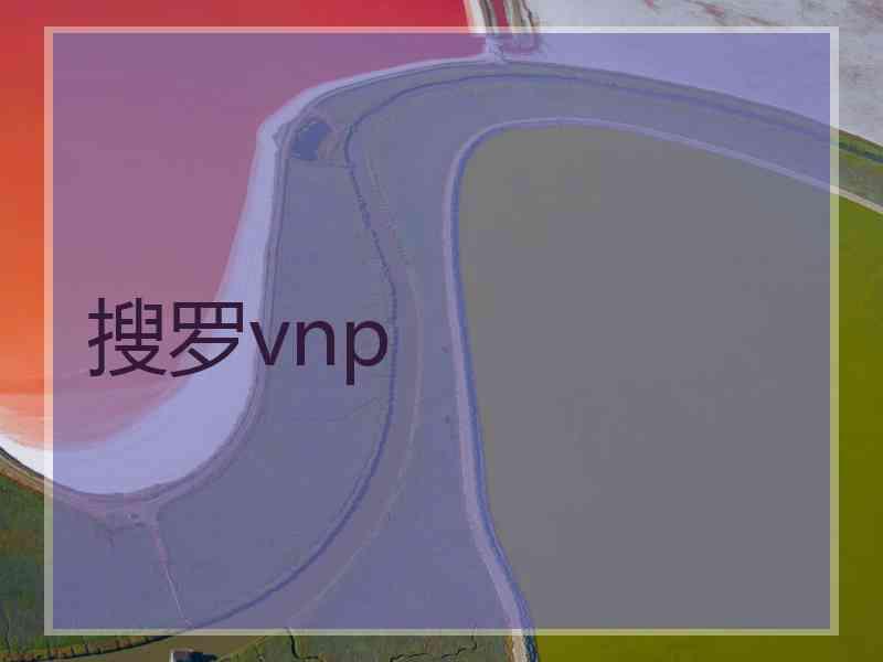 搜罗vnp