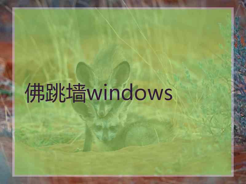 佛跳墙windows