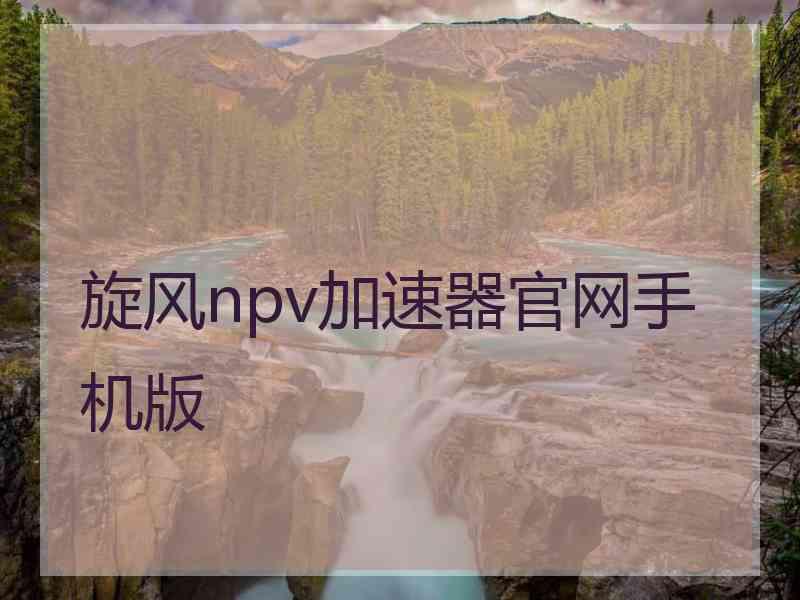 旋风npv加速器官网手机版