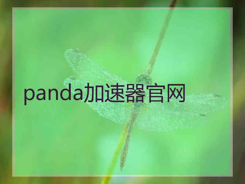 panda加速器官网