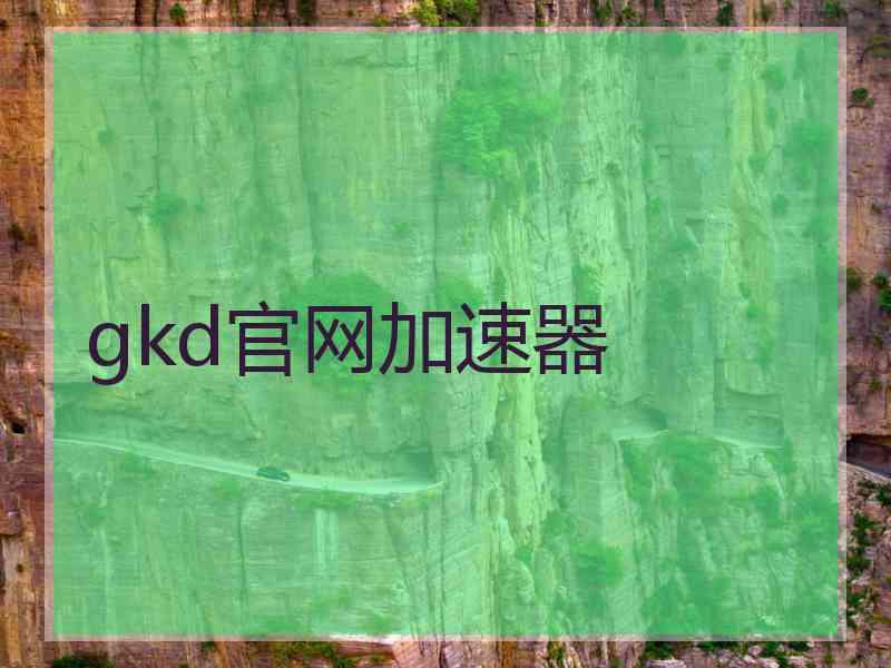 gkd官网加速器