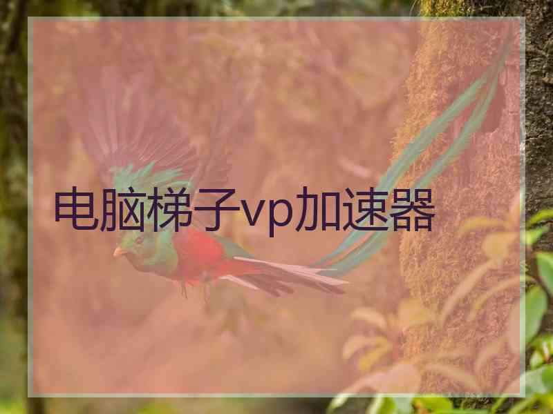 电脑梯子vp加速器