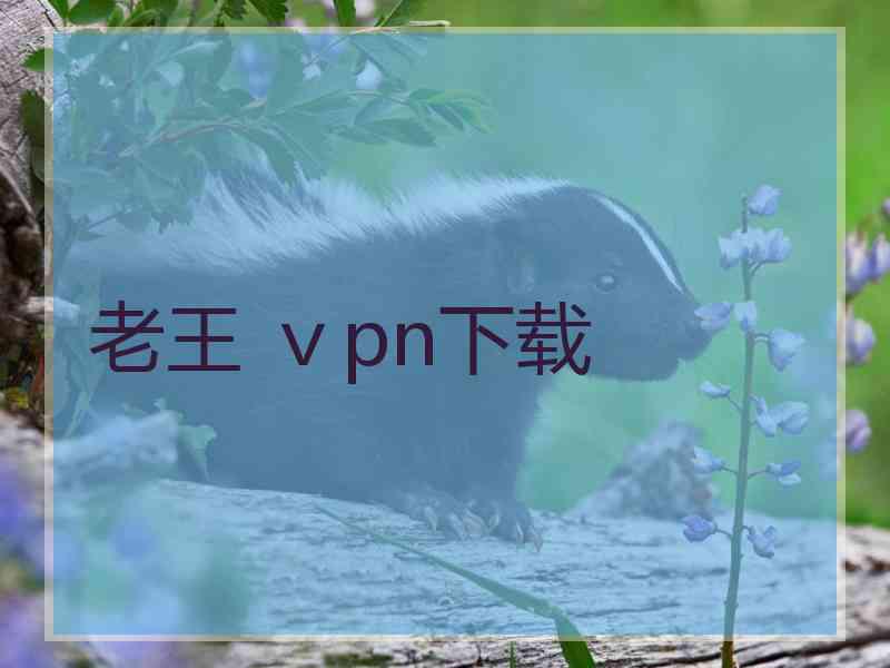 老王 ⅴpn下载