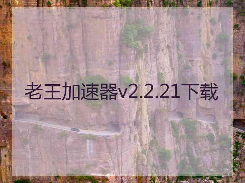 老王加速器v2.2.21下载