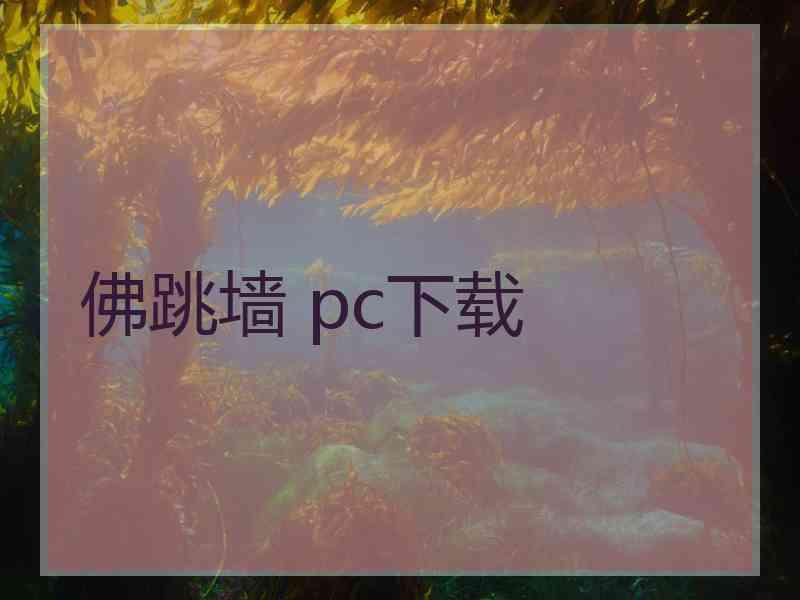 佛跳墙 pc下载