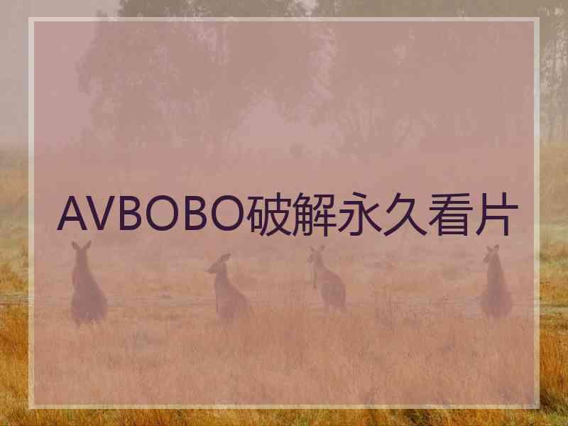 AVBOBO破解永久看片