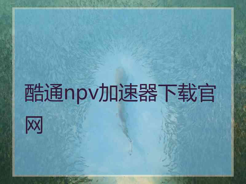 酷通npv加速器下载官网