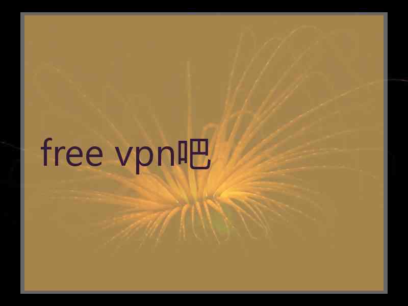 free vpn吧