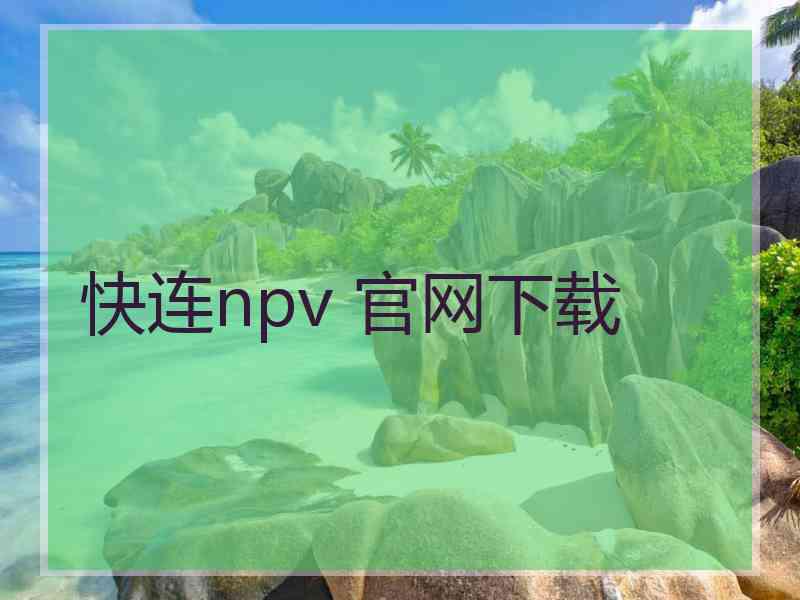 快连npv 官网下载