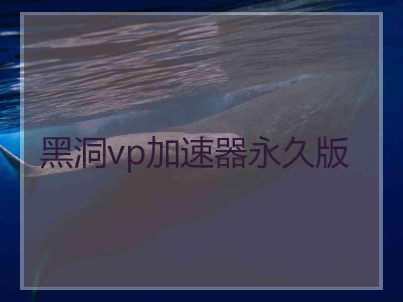 黑洞vp加速器永久版