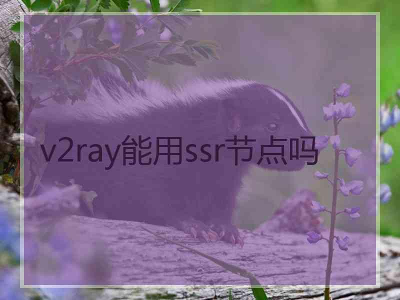 v2ray能用ssr节点吗