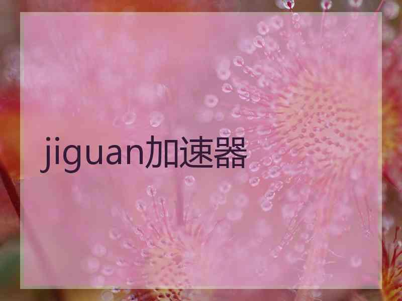 jiguan加速器