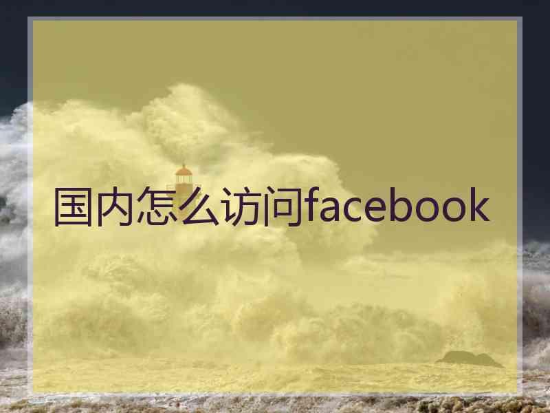 国内怎么访问facebook