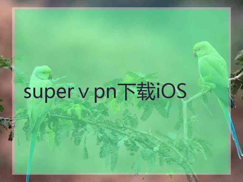 superⅴpn下载iOS