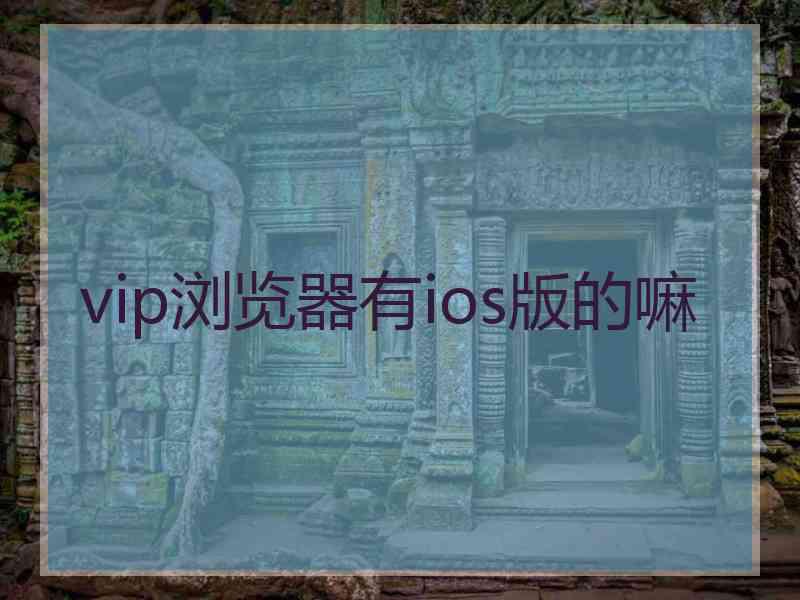 vip浏览器有ios版的嘛