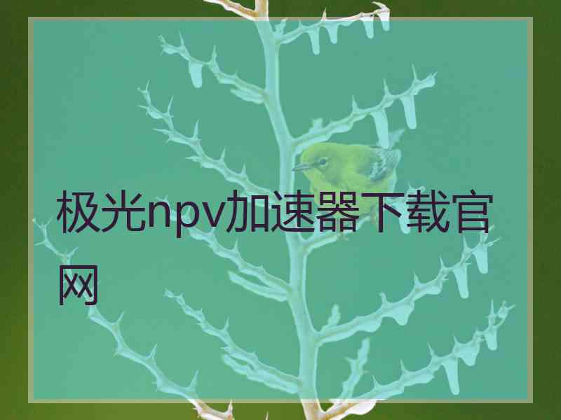 极光npv加速器下载官网